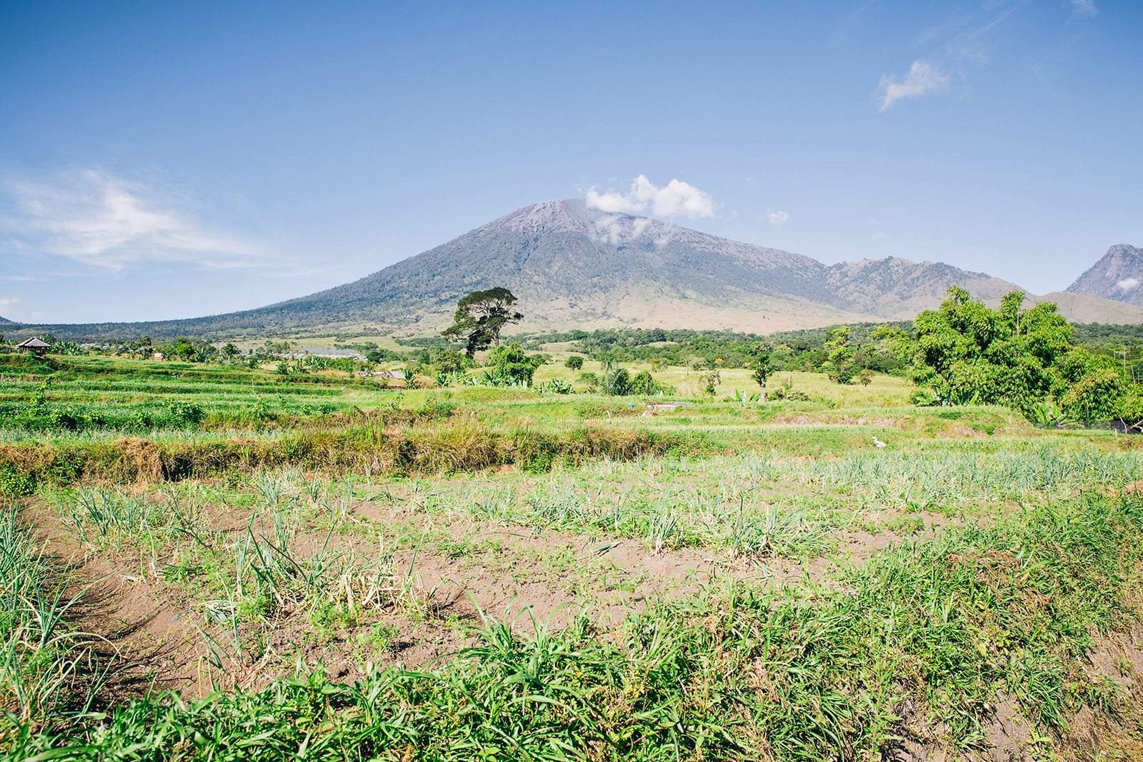 rinjani